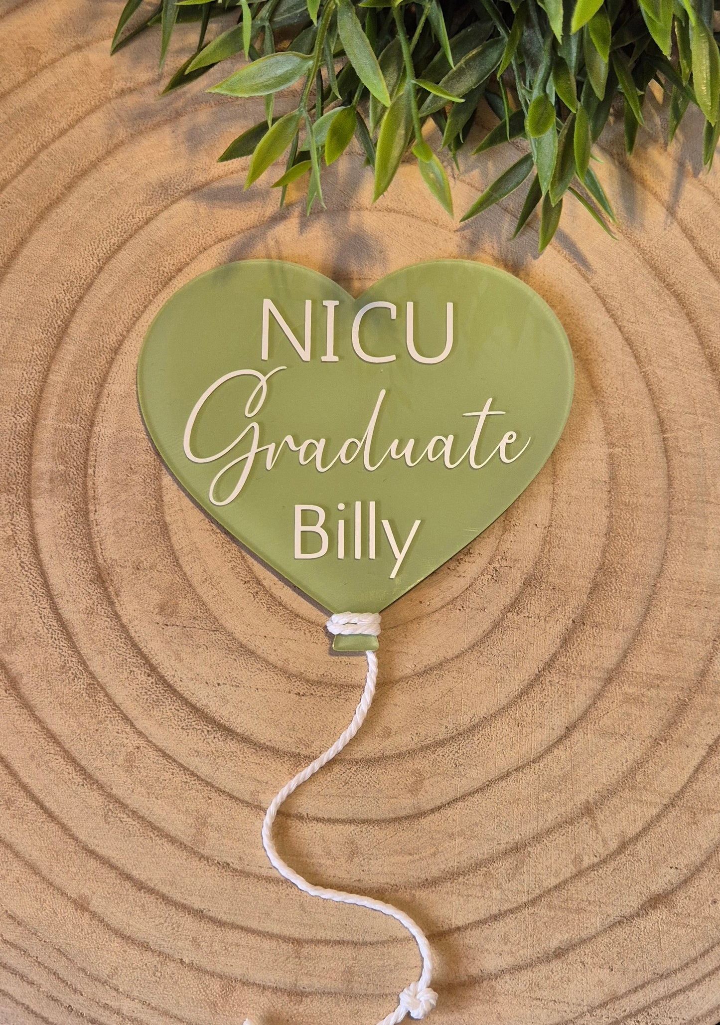 Handmade NICU Graduate Sign: Acrylic Balloon Photo Prop